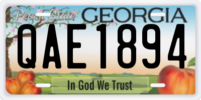 GA license plate QAE1894