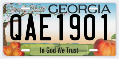 GA license plate QAE1901