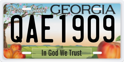 GA license plate QAE1909