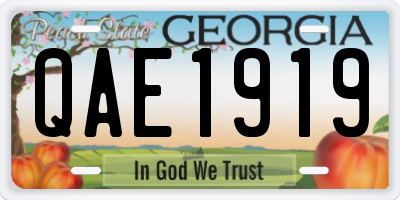 GA license plate QAE1919