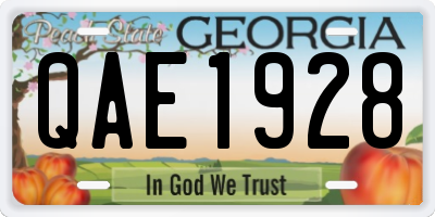 GA license plate QAE1928
