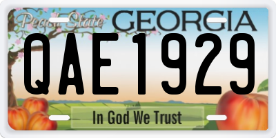 GA license plate QAE1929