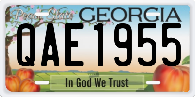 GA license plate QAE1955