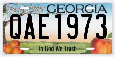 GA license plate QAE1973