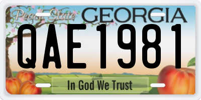 GA license plate QAE1981