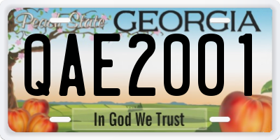 GA license plate QAE2001