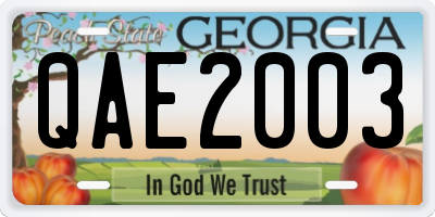 GA license plate QAE2003