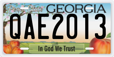 GA license plate QAE2013