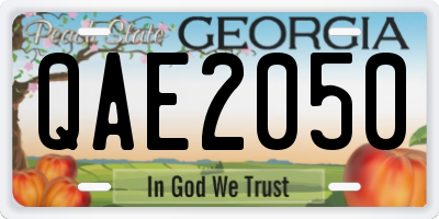 GA license plate QAE2050