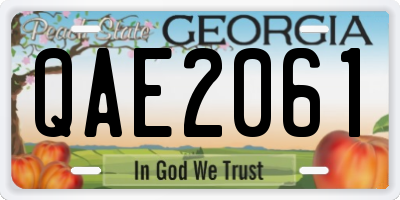 GA license plate QAE2061