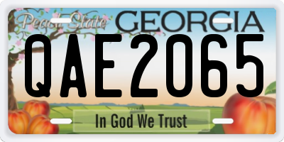 GA license plate QAE2065