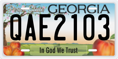 GA license plate QAE2103