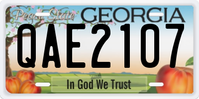 GA license plate QAE2107