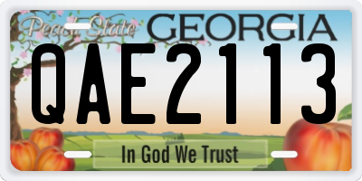 GA license plate QAE2113