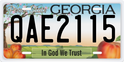 GA license plate QAE2115