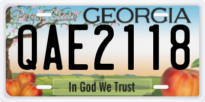 GA license plate QAE2118