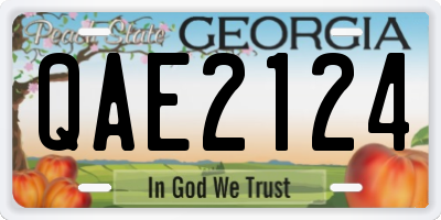 GA license plate QAE2124