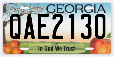 GA license plate QAE2130