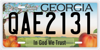 GA license plate QAE2131