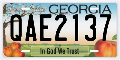 GA license plate QAE2137