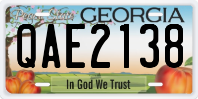 GA license plate QAE2138
