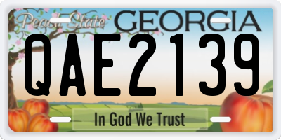 GA license plate QAE2139