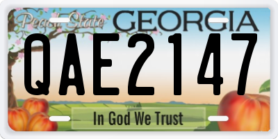 GA license plate QAE2147