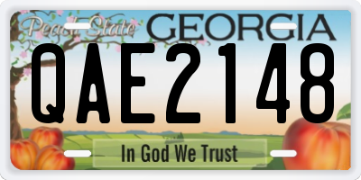 GA license plate QAE2148