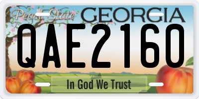 GA license plate QAE2160