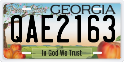 GA license plate QAE2163