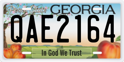 GA license plate QAE2164