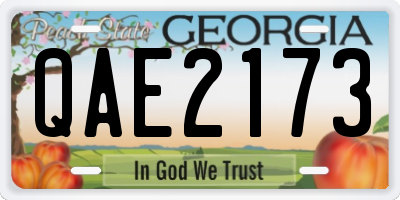 GA license plate QAE2173