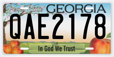 GA license plate QAE2178