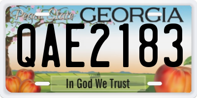 GA license plate QAE2183
