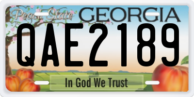 GA license plate QAE2189