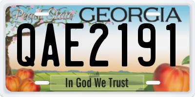 GA license plate QAE2191