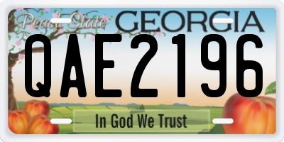 GA license plate QAE2196