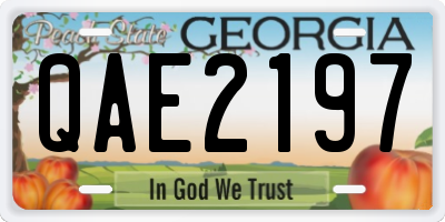 GA license plate QAE2197