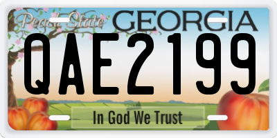 GA license plate QAE2199