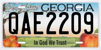 GA license plate QAE2209