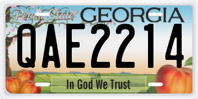 GA license plate QAE2214