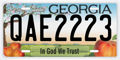 GA license plate QAE2223