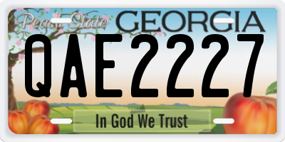 GA license plate QAE2227
