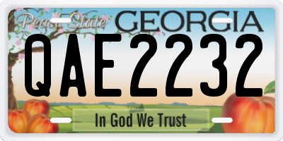 GA license plate QAE2232