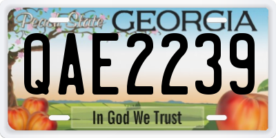 GA license plate QAE2239