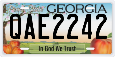 GA license plate QAE2242