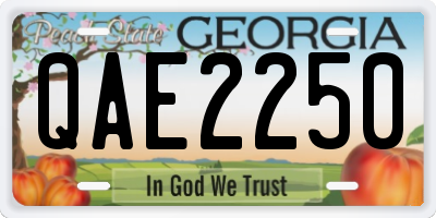 GA license plate QAE2250