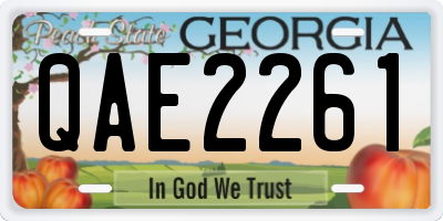 GA license plate QAE2261