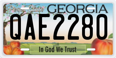 GA license plate QAE2280