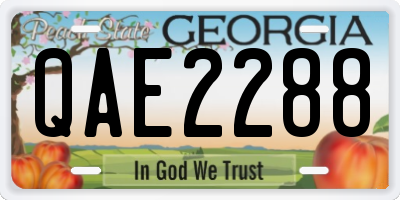 GA license plate QAE2288